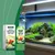 Pet Planet Pastilles de purification d'eau pour aquarium