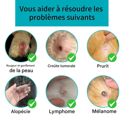 FurryFusion Gouttes pour la santé des chiens 60 ml