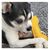 Pet Planet Jouet en feutre en forme d'os pour chiens 2 articles