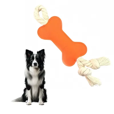 Pet Planet Jouet en feutre en forme d'os pour chiens 2 articles