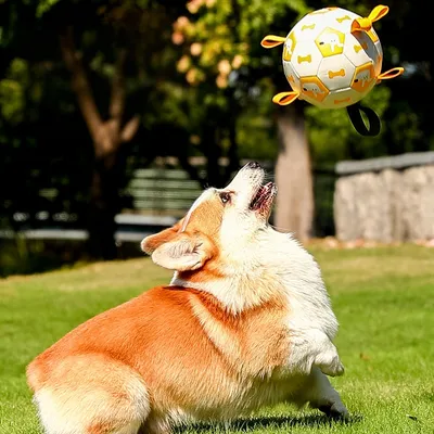 Petopia Jouet de grignotage pour chien