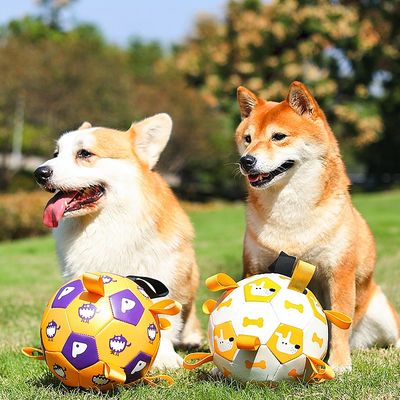 Petopia Jouet de grignotage pour chien