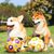 Petopia Jouet de grignotage pour chien