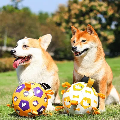 Petopia Jouet de grignotage pour chien