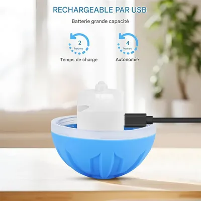 IntiMeg Balles pour chien avec lumière LED