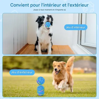 IntiMeg Balles pour chien avec lumière LED