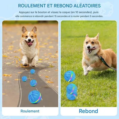 IntiMeg Balles pour chien avec lumière LED