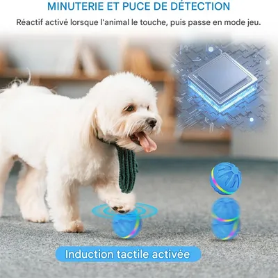 IntiMeg Balles pour chien avec lumière LED