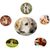 Pet Planet 4 Pièces Balles Friandises Caoutchouc Naturel Chien