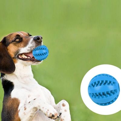 Pet Planet 4 Pièces Balles Friandises Caoutchouc Naturel Chien