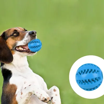Pet Planet 4 Pièces Balles Friandises Caoutchouc Naturel Chien