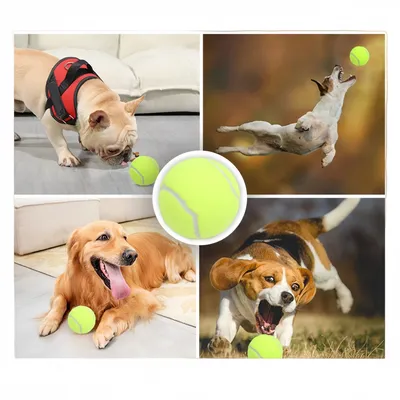 FurryFusion Lot de 3 balles de tennis extensibles pour chien
