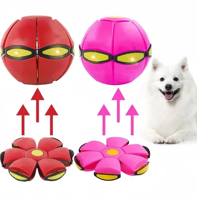 Pet Planet Jouet Balle Disque 2 Formes Transformable Lumière Pour Chien