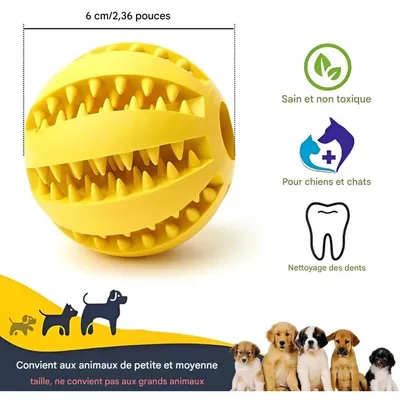 Pet Planet 4 Pièces Balles Friandises Caoutchouc Naturel Chien