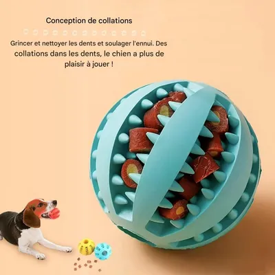 Pet Planet 4 Pièces Balles Friandises Caoutchouc Naturel Chien