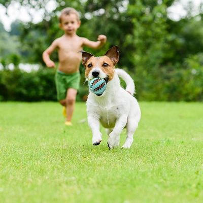 Pet Planet 4 Pièces Balles Friandises Caoutchouc Naturel Chien
