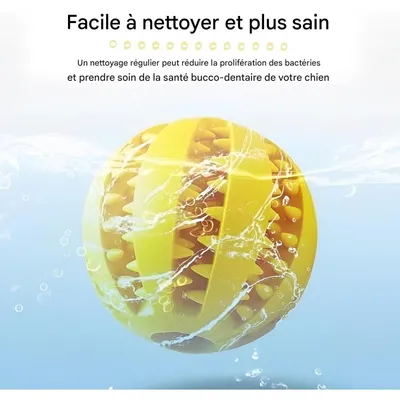 Pet Planet 4 Pièces Balles Friandises Caoutchouc Naturel Chien