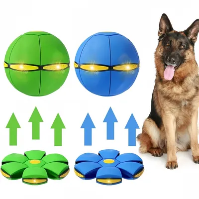 Pet Planet Jouet Balle Disque 2 Formes Transformable Lumière Pour Chien