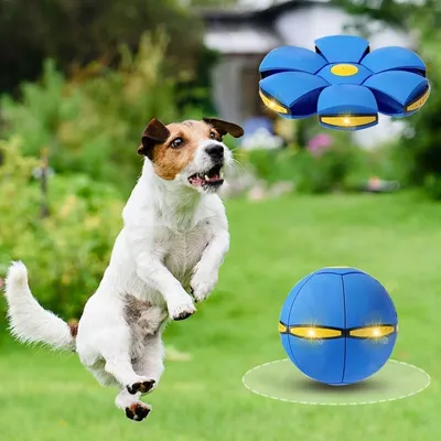 Pet Planet Jouet Balle Disque 2 Formes Transformable Lumière Pour Chien
