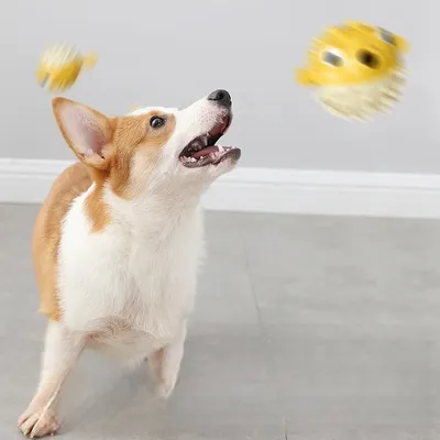 Petopia Boule à friandises pour chien