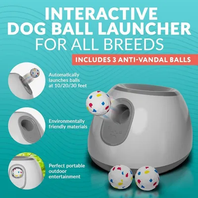 Petopia Lanceur de balles automatique pour chien