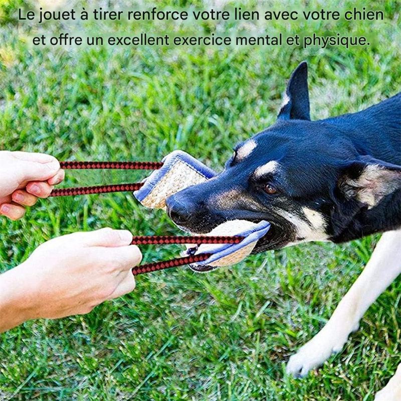 IntiMeg Bâton à mordre pour chien avec 2 anses