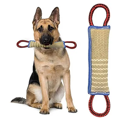 IntiMeg Bâton à mordre pour chien avec 2 anses