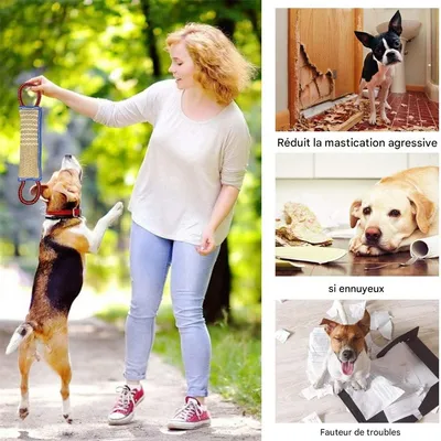 IntiMeg Bâton à mordre pour chien avec 2 anses