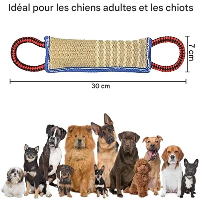 IntiMeg Bâton à mordre pour chien avec 2 anses