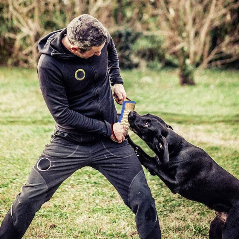 IntiMeg Bâton à mordre pour chien avec 2 anses
