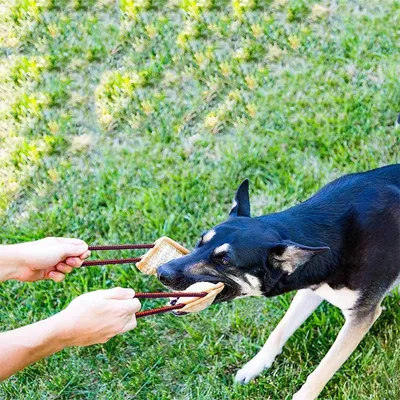 IntiMeg Bâton à mordre en jute pour chien