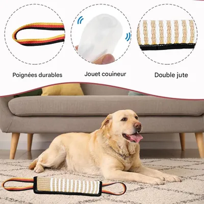 IntiMeg Bâtonnet à mâcher pour le dressage des chiens