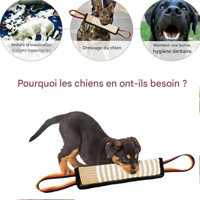 IntiMeg Bâtonnet à mâcher pour le dressage des chiens