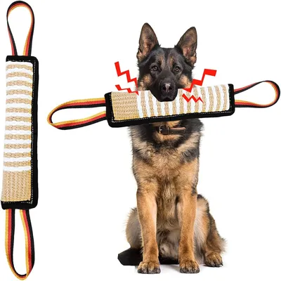 IntiMeg Bâtonnet à mâcher pour le dressage des chiens