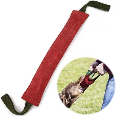 IntiMeg Bâton à mâcher pour chien peau de vache