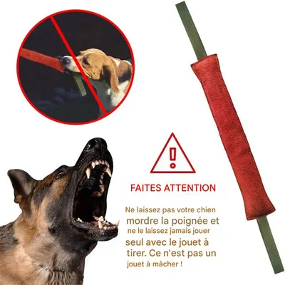 IntiMeg Bâton à mâcher pour chien peau de vache
