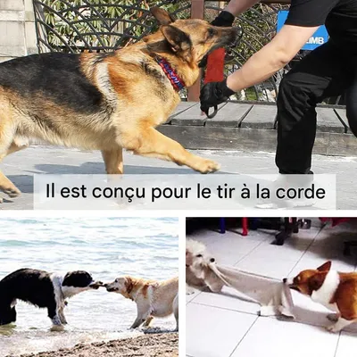 IntiMeg Bâton à mâcher pour chien peau de vache
