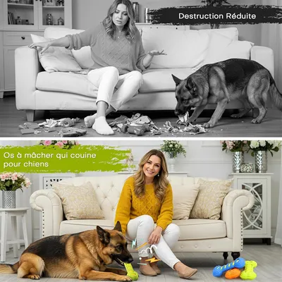 IntiMeg Jouet Squeaky os en TPR pour chien en 3 pièces