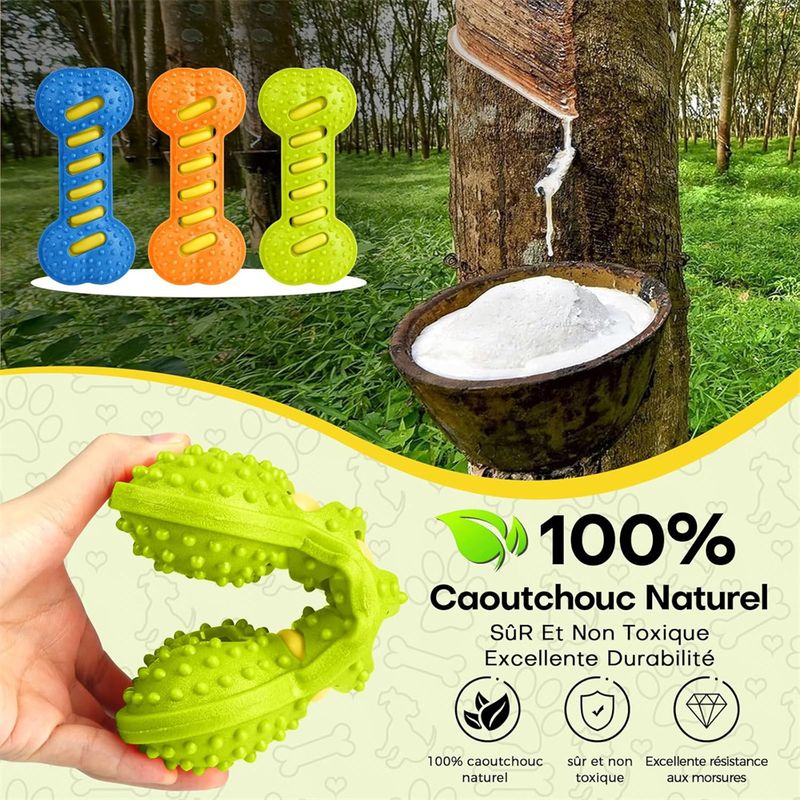 IntiMeg Jouet Squeaky os en TPR pour chien en 3 pièces