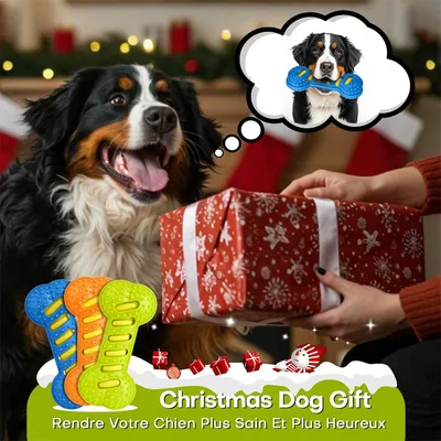 IntiMeg Jouet Squeaky os en TPR pour chien en 3 pièces