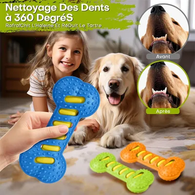 IntiMeg Jouet Squeaky os en TPR pour chien en 3 pièces