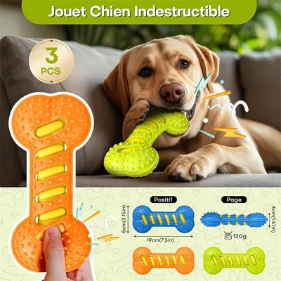 IntiMeg Jouet Squeaky os en TPR pour chien en 3 pièces