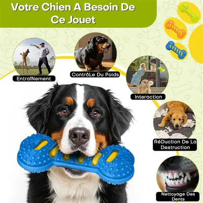 IntiMeg Jouet Squeaky os en TPR pour chien en 3 pièces
