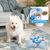 IntiMeg Jeu d'Intelligence pour Chiens