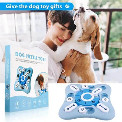 IntiMeg Jeu d'Intelligence pour Chiens