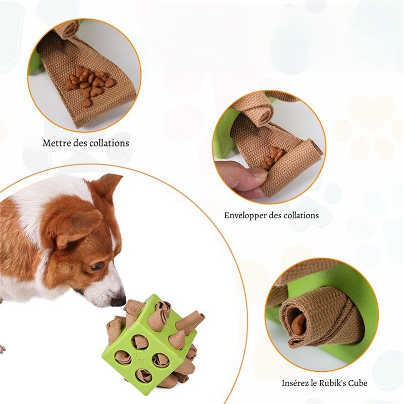 Petopia Cube de jeu pour chien
