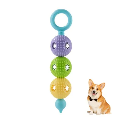 Petopia Jouet à mâcher pour chien