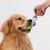 Petopia Jouet à mâcher pour chien