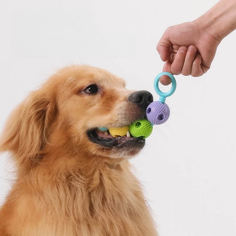 Petopia Jouet à mâcher pour chien