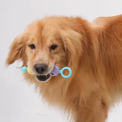 Petopia Jouet à mâcher pour chien